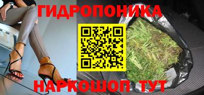 a pvp Бузулук
